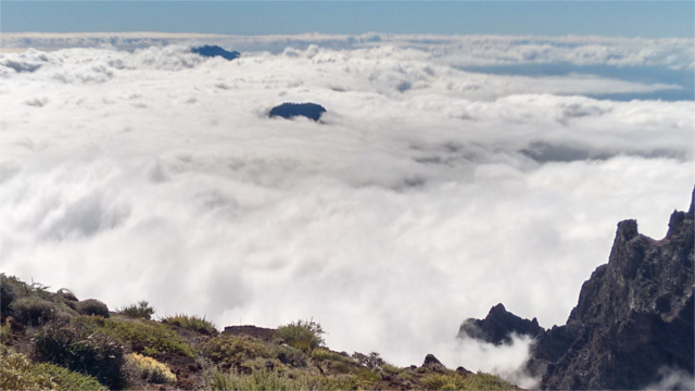 ⌨ May the Source Be with You